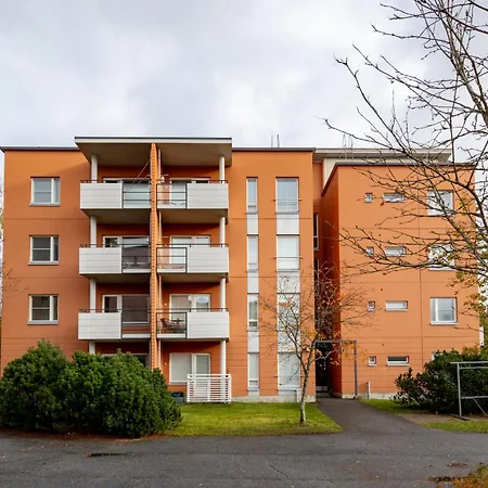 Cozy X Aurora Lights